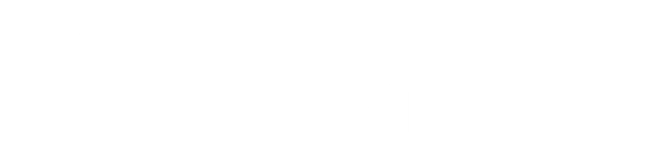 BGM Experten